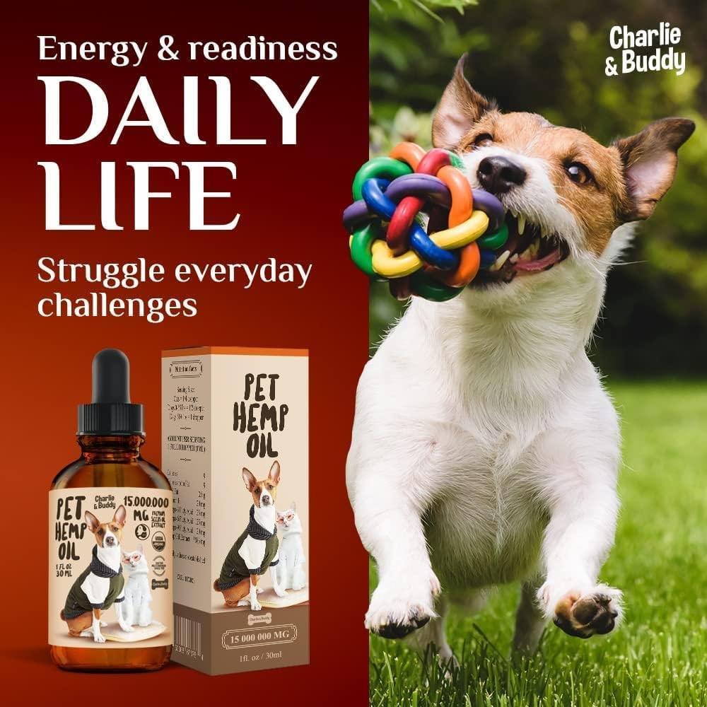 Charlie Buddy H–µmp Oil for Dogs Cats Hi—Ä and J–æint Supp–ært and