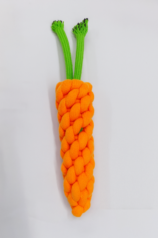 "Durable Braided Carrot-Shaped Rope Toy for Dogs – Orange & Green Chew