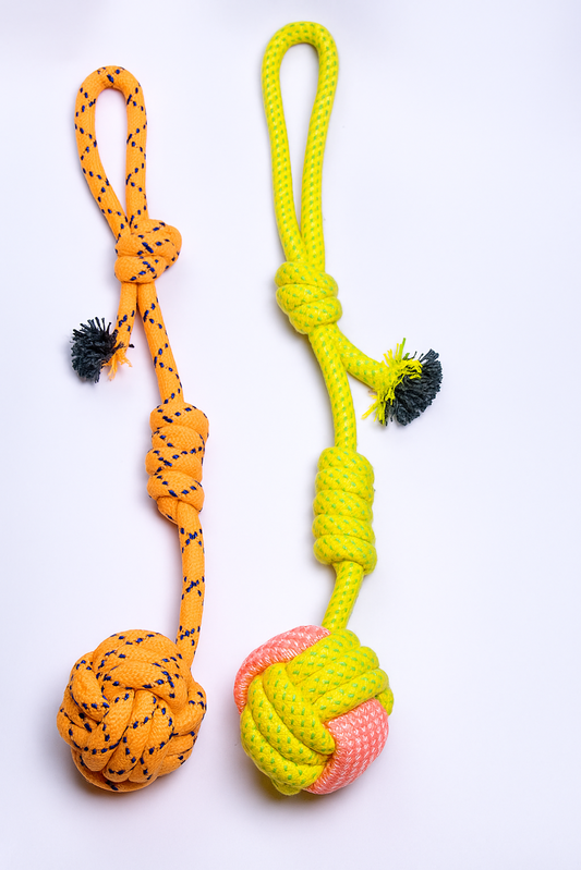 Durable Tug Rope Toy for Dogs – Interactive Chew & Play Toy (Set of